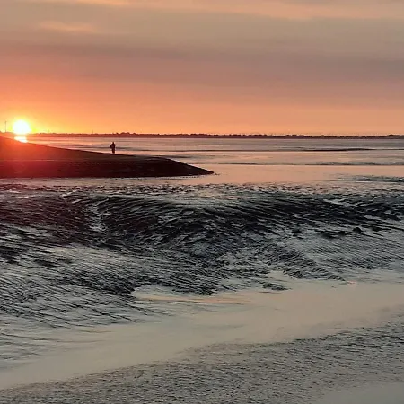 Stadthaus Mit Dachterrasse *